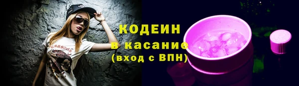 не бодяженный Заводоуковск