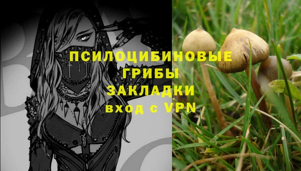 индика Тобольск