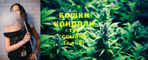 не бодяженный Заводоуковск