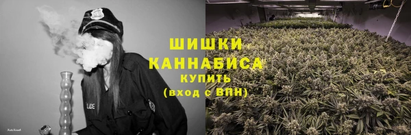 не бодяженный Заводоуковск
