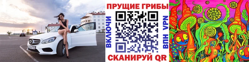купить   Судак  Галлюциногенные грибы прущие грибы 
